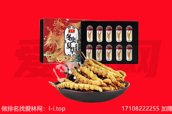 建华区回收虫草.jpg